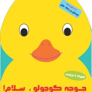 رنگ آمیزی شیرشاه