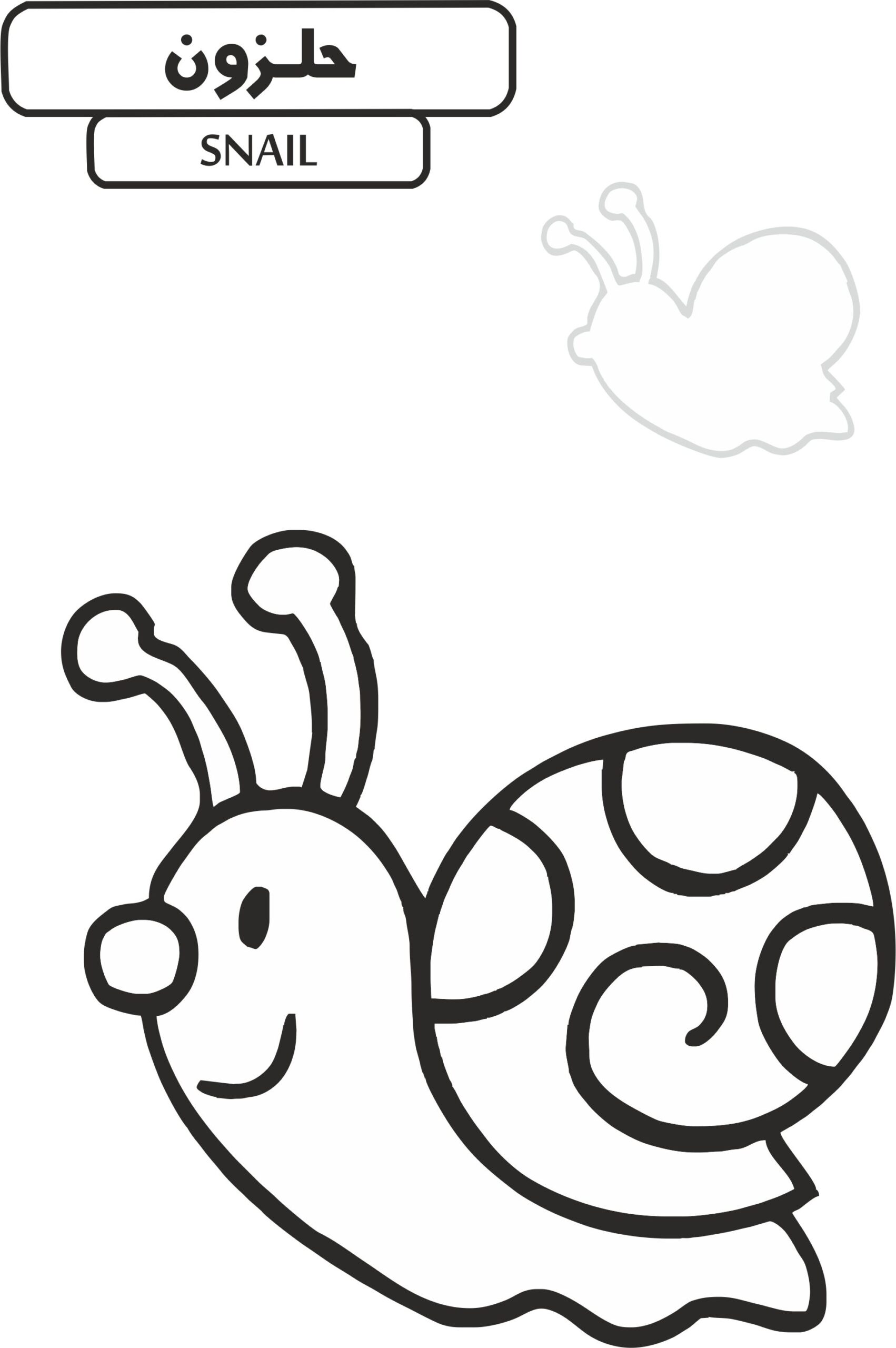 بچسبان و رنگ کن – حیوانات چمن‌زار(همراه با برچسب)