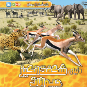 کاوشگران جوان- ستارگان وسیارات