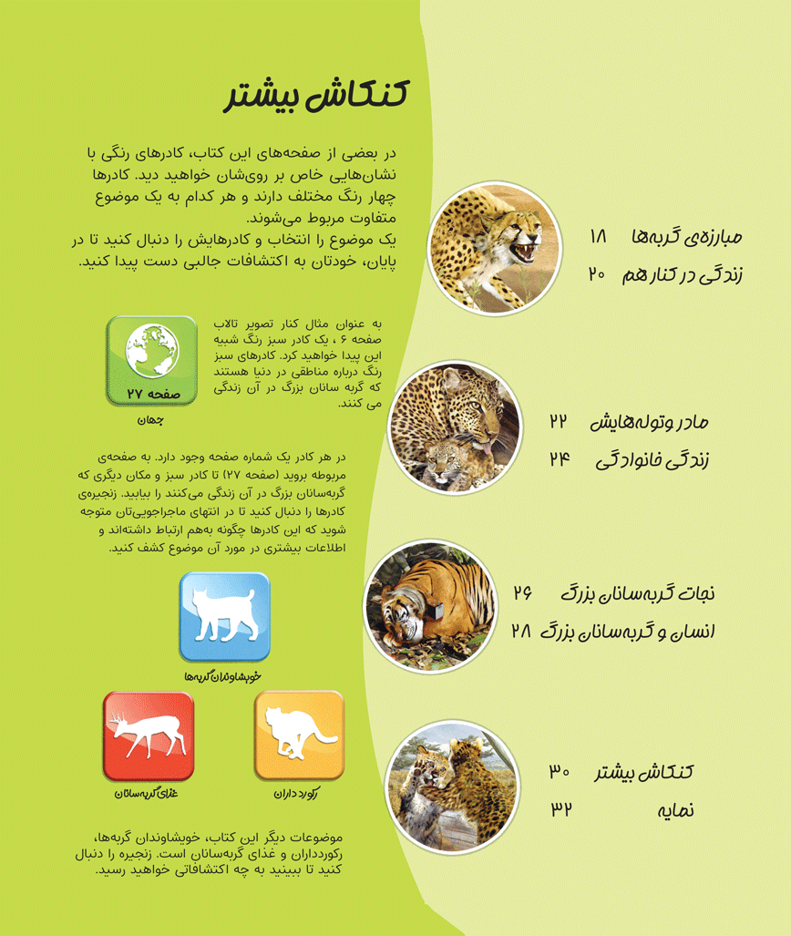 کاوشگران جوان- گربه‌سانان بزرگ