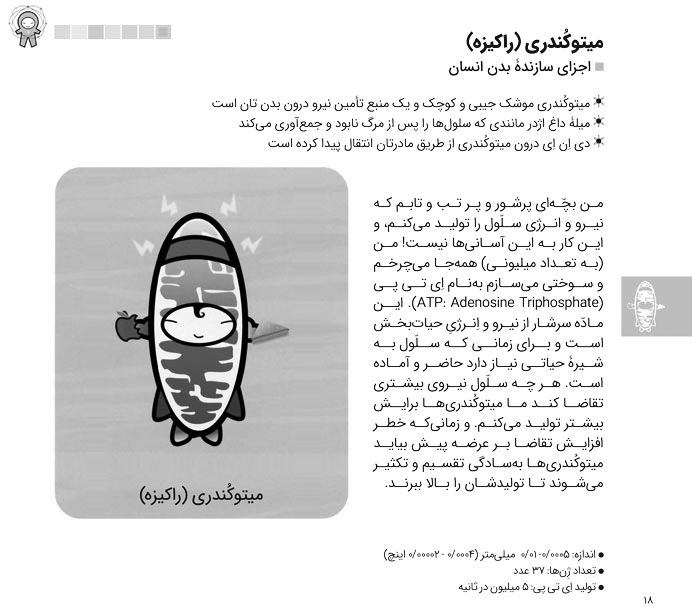 دنیای رنگارنگ علوم-بدن انسان